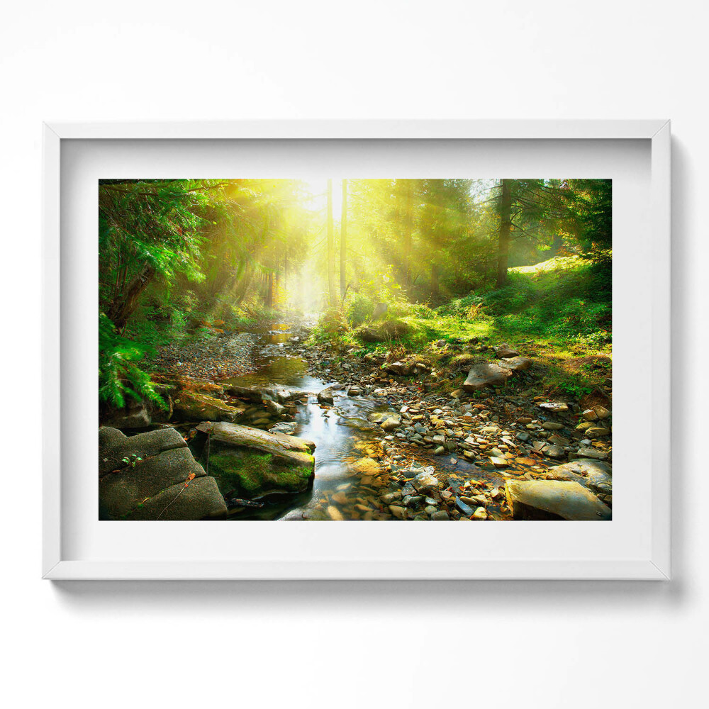 Obraz v rámu moderní Lesní potok ve slunečním světle