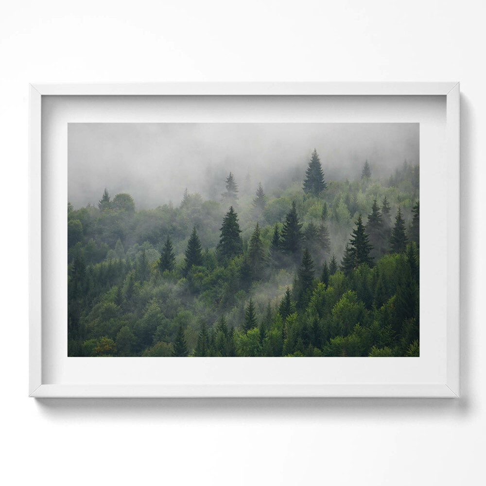 Obraz v rámu moderní Lesní krajina v mlze