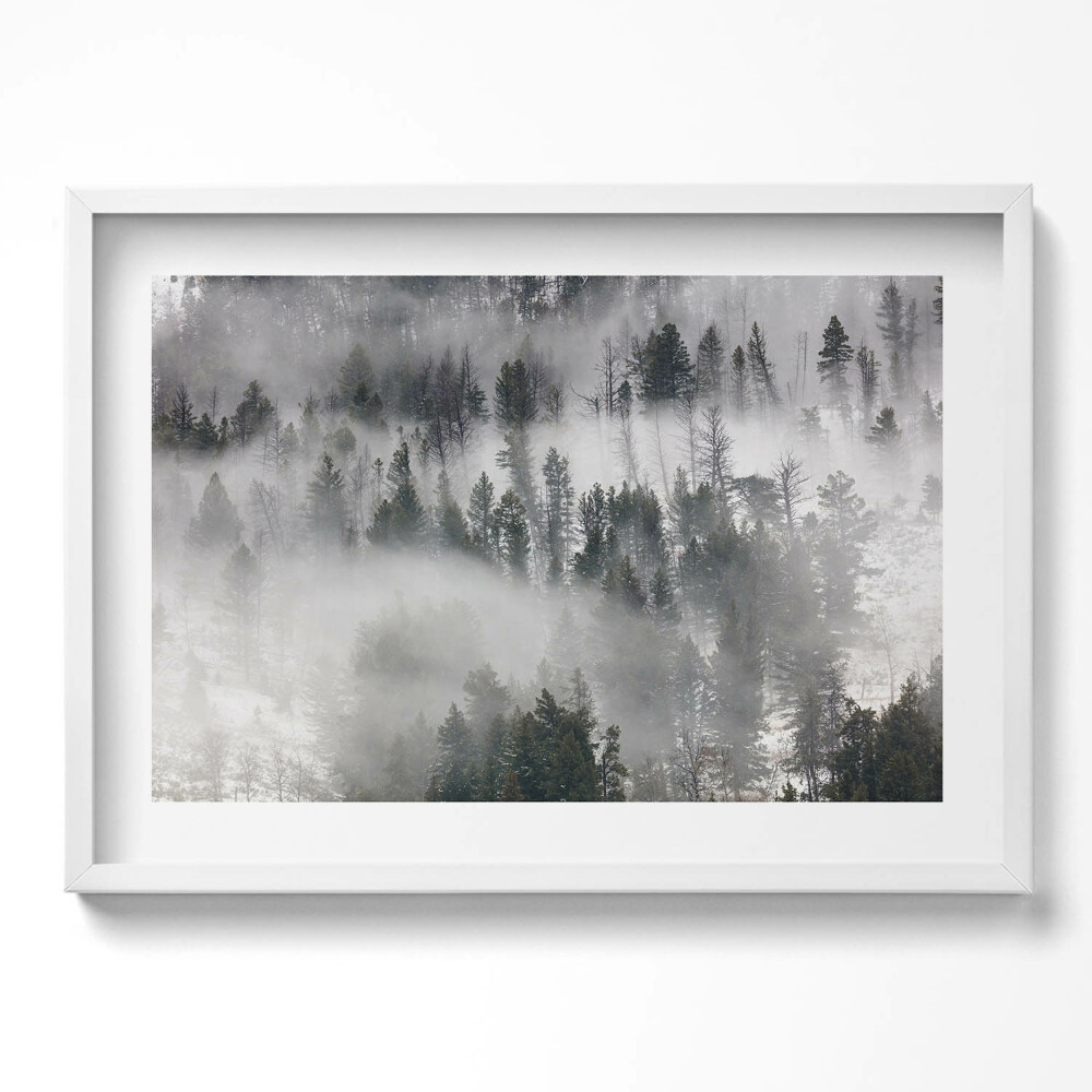 Obraz v rámu moderní Zamlžená lesní krajina