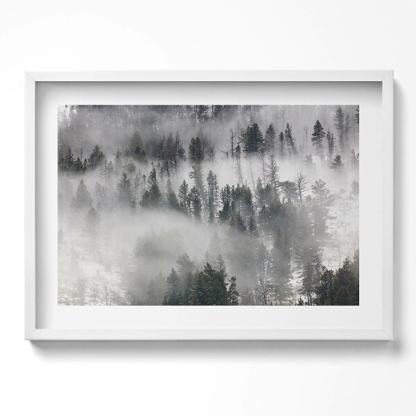 Obraz v rámu moderní Zamlžená lesní krajina