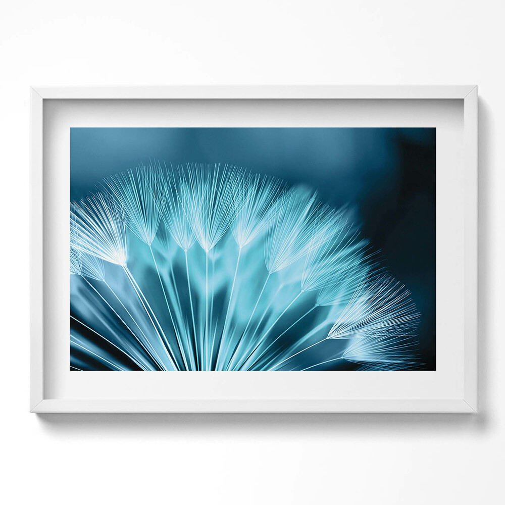 Obraz v rámu moderní Detailní záběr na pampelišku