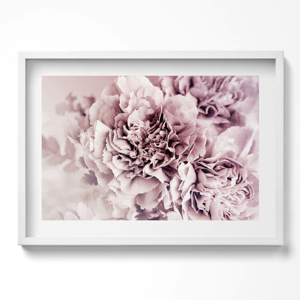 Obraz v rámu moderní Světle růžové okvětní lístky pivoněk