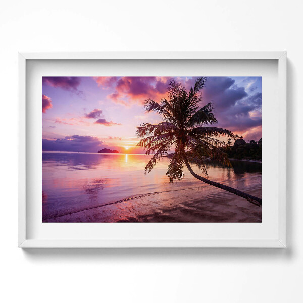 Obraz v rámu moderní Palma na pláži při západu slunce