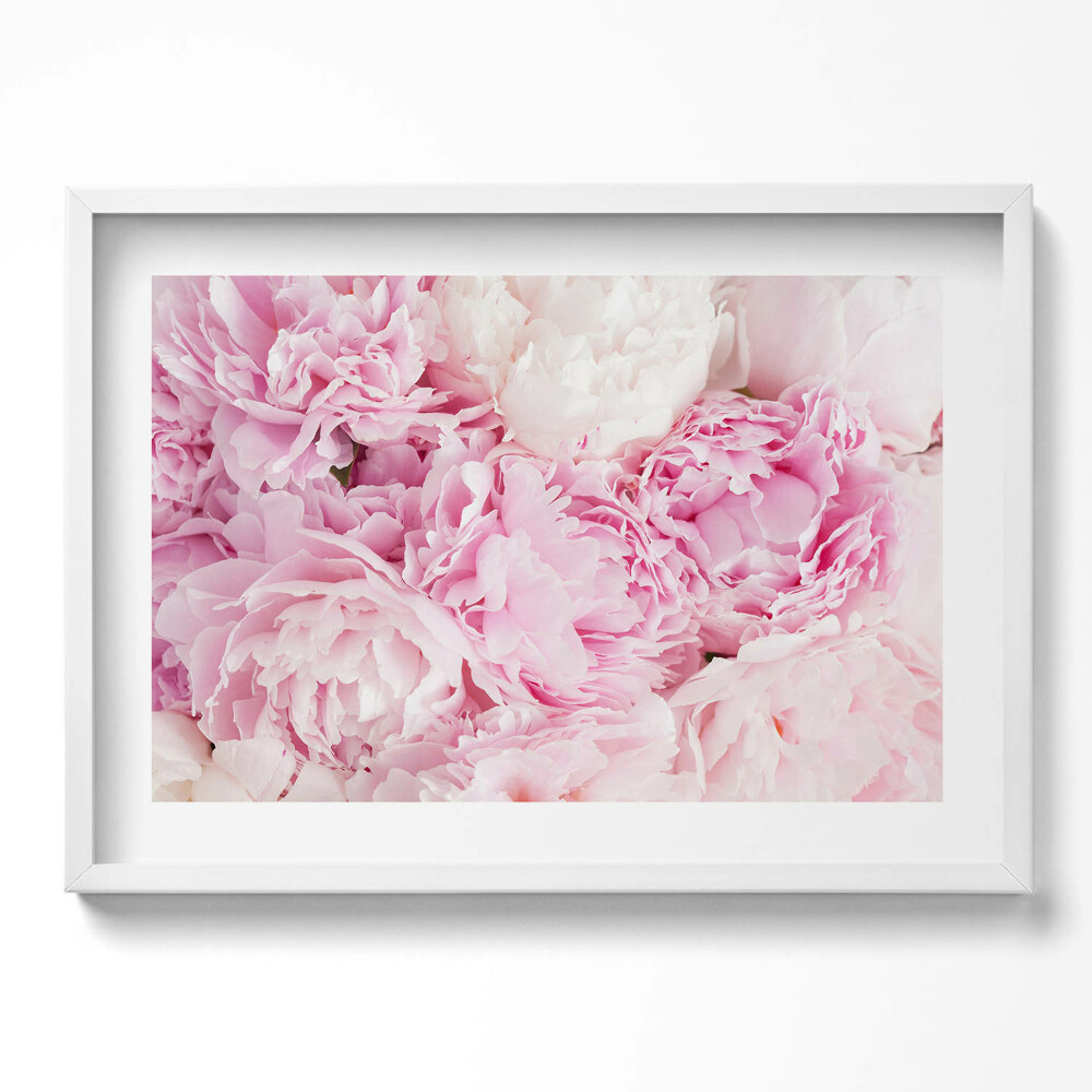 Obraz v rámu moderní Jemné květy pivoňky