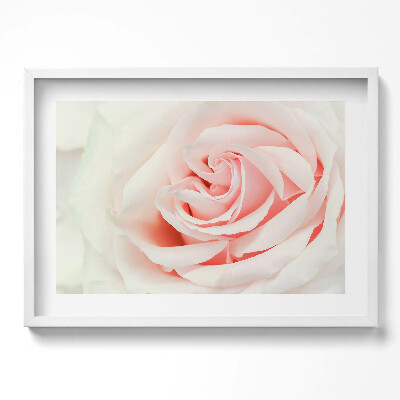 Obraz v rámu moderní Detail růžových lístků