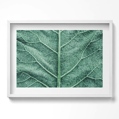 Obraz v rámu moderní Detail listových žil