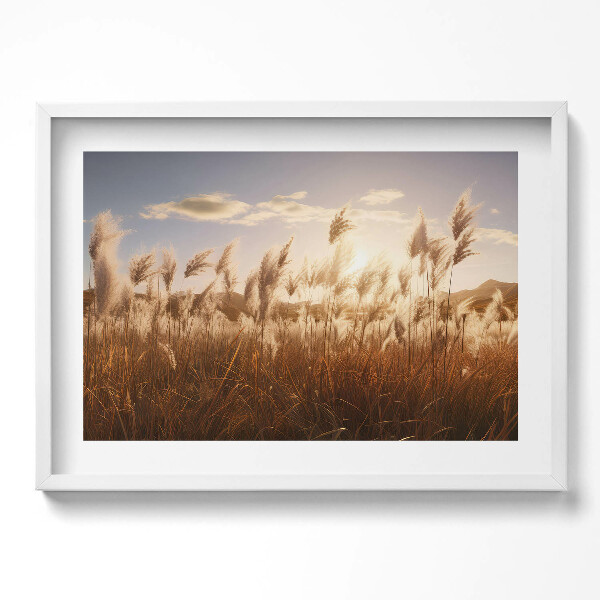 Obraz v rámu moderní Romantický západ slunce nad trávou