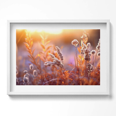 Obraz v rámu moderní Boho tráva při východu slunce