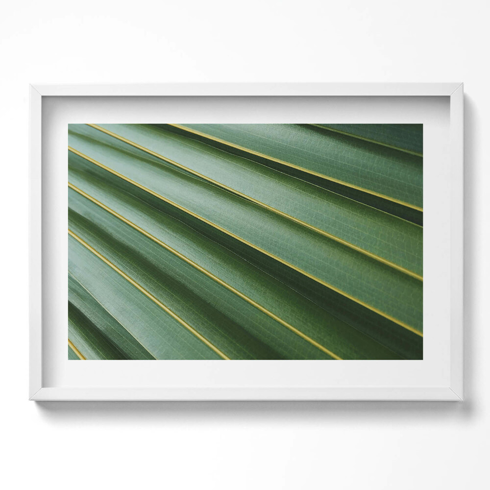 Obraz v rámu moderní Zelená rostlina textura