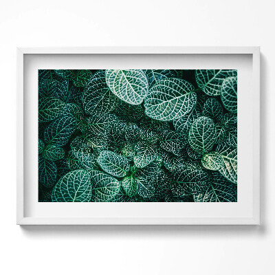 Obraz v rámu moderní Zelené divoké listy