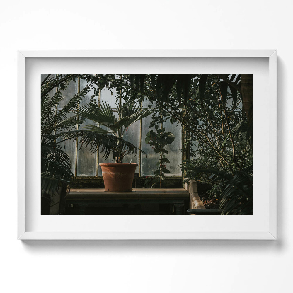Obraz v rámu moderní Vintage rostliny na okně
