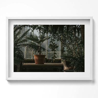 Obraz v rámu moderní Vintage rostliny na okně