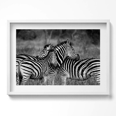 Obraz v rámu moderní Objímání zeber