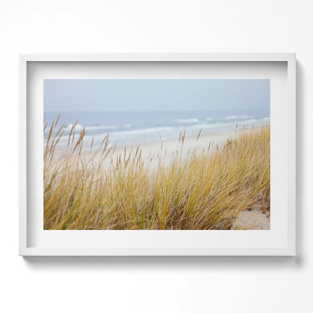 Obraz v rámu moderní Krajina přímořské pláže a trávy
