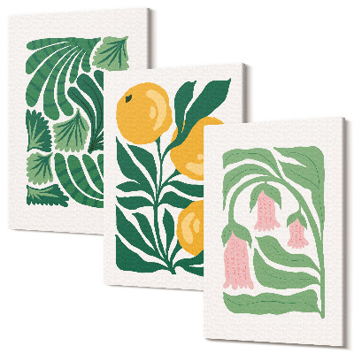 Sada obrazů na zeď triptych Minimalistické rostlinné vzory s plody a listy