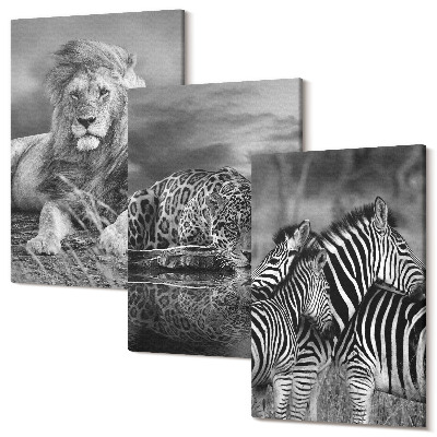Sada obrazů triptych Divoká zvířata savany: lev, jaguár a zebra