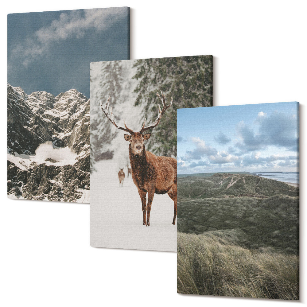 Sada obrazů triptych Hory se sněhem, jeleni v lese, krajiny