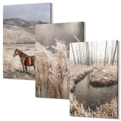 Sada obrazů na zeď triptych Koně v krajině trav a zimního potoka