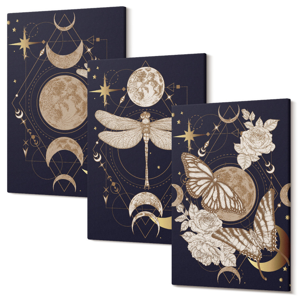 Sada 3 obrazů Přírodní motivy s měsícem, vesmírem a květinami