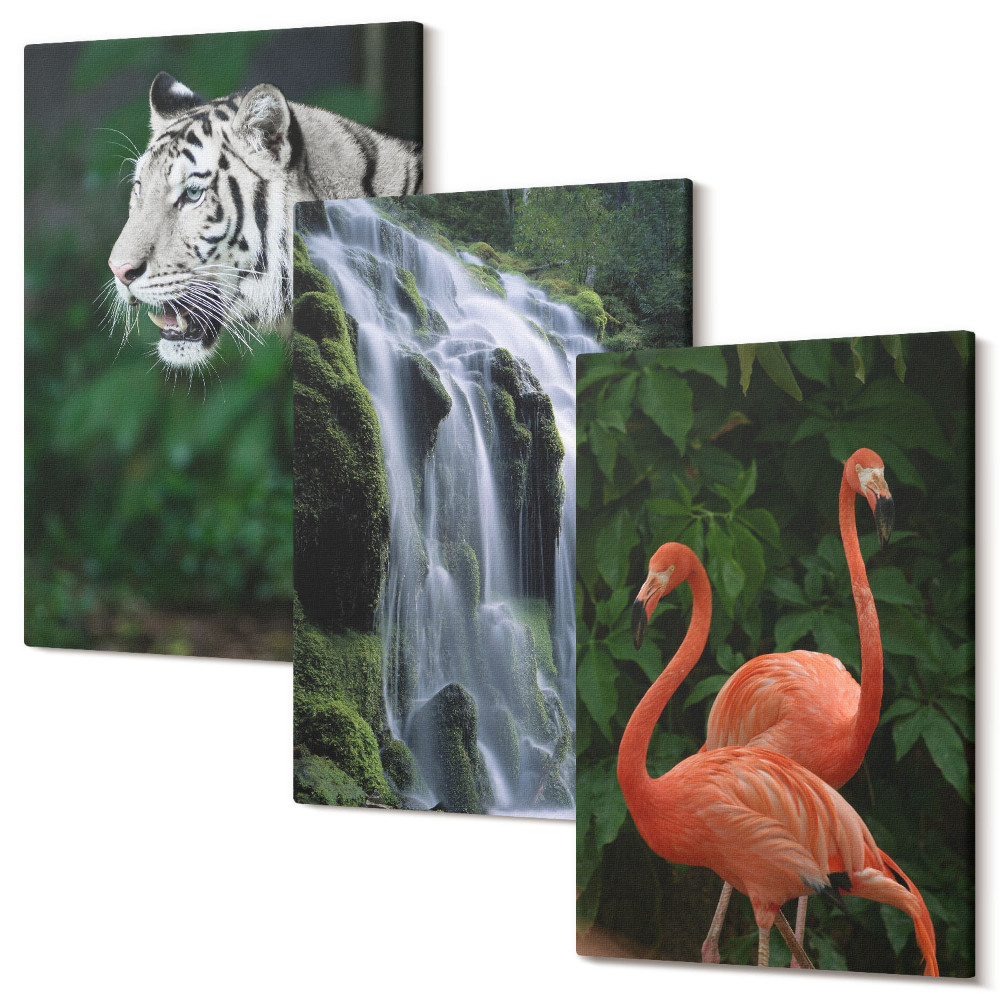 Sada 3 obrazů Tygří vodopád a růžoví plameňáci v přírodě