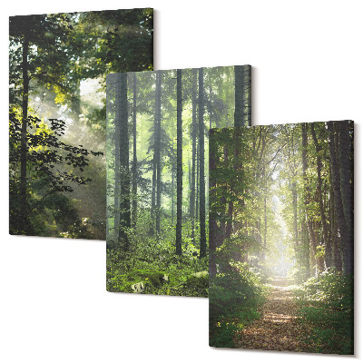 Sada obrazů na zeď triptych Zelené lesy s paprsky světla a lesní cesta