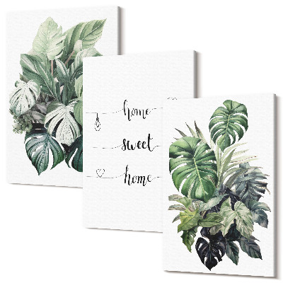 Sada obrazů triptych Akvarel Monstera Leaves Home Sweet Home