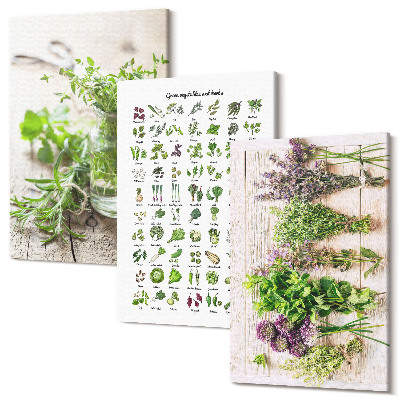 Sada 3 obrazů Sušené rostliny pro seznam kuchyňských bylinek