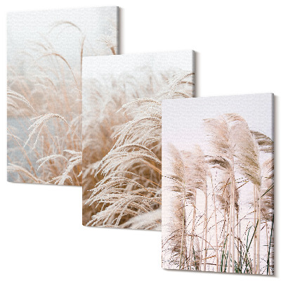 Sada obrazů triptych Pole trávy v jemných odstínech hnědé a béžové