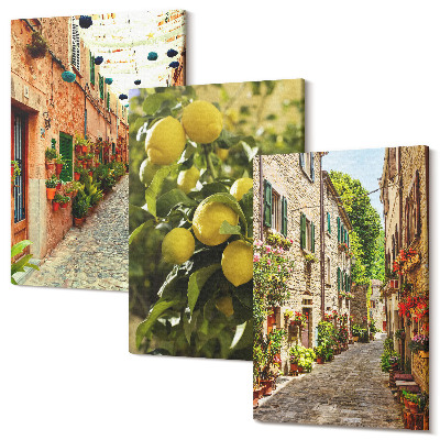 Sada obrazů triptych Okouzlující ulice s květinami a citrony v pozadí