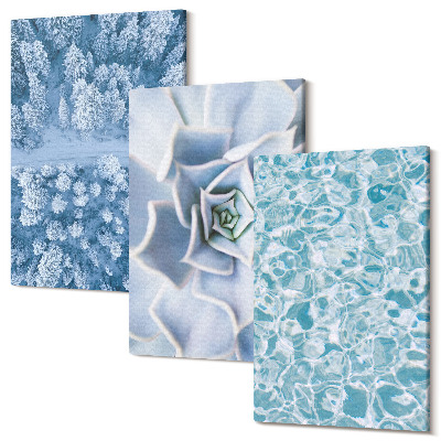 Sada obrazů na zeď triptych Zimní lesní modrá květina modrá vodní hladina