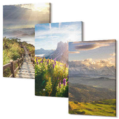 Sada obrazů na zeď triptych Horské krajiny s květinami, oblohou a cestou