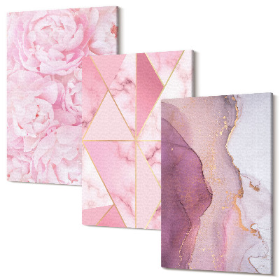 Sada 3 obrazů Růžové květy pivoňky geometrické vzory
