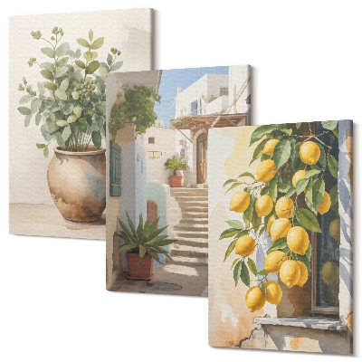 Sada obrazů triptych Rostliny v květináčích a citrony na pozadí ulice