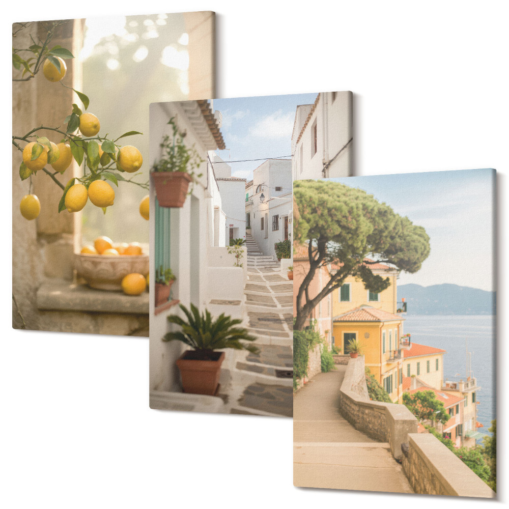 Sada obrazů na zeď triptych Citrusový strom pohled z okna a přímořská architektura