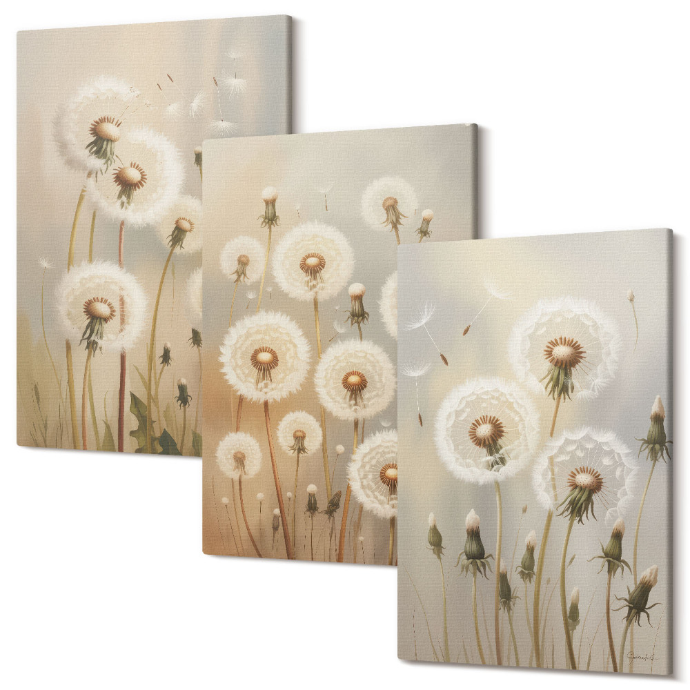 Sada obrazů triptych Bílé pampelišky na pozadí jasných barev