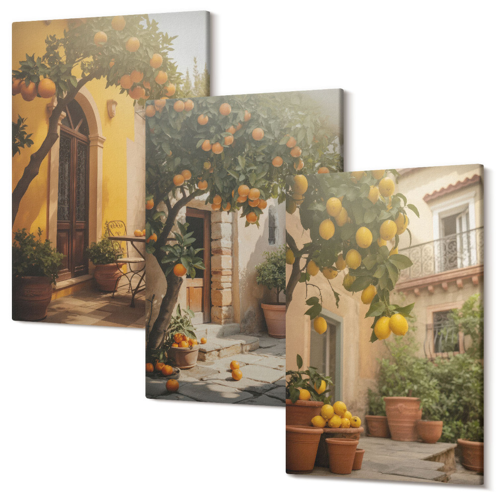 Sada obrazů triptych Slunná terasa s citrusovými stromy a květináči