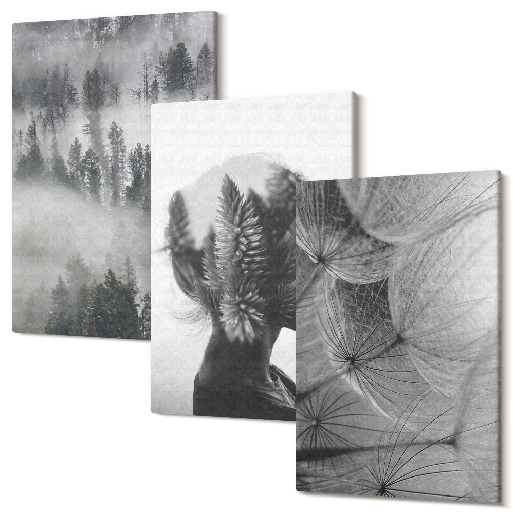 Sada obrazů triptych Les v mlze portrét se stromy jemné pampeliška