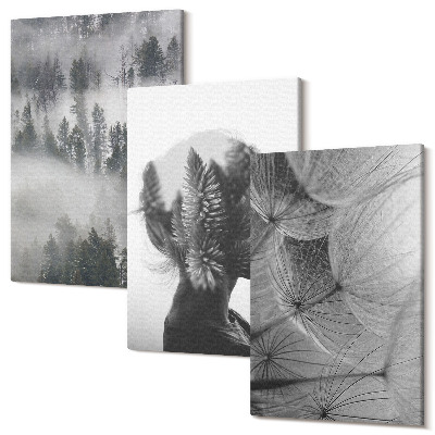 Sada obrazů triptych Les v mlze portrét se stromy jemné pampeliška