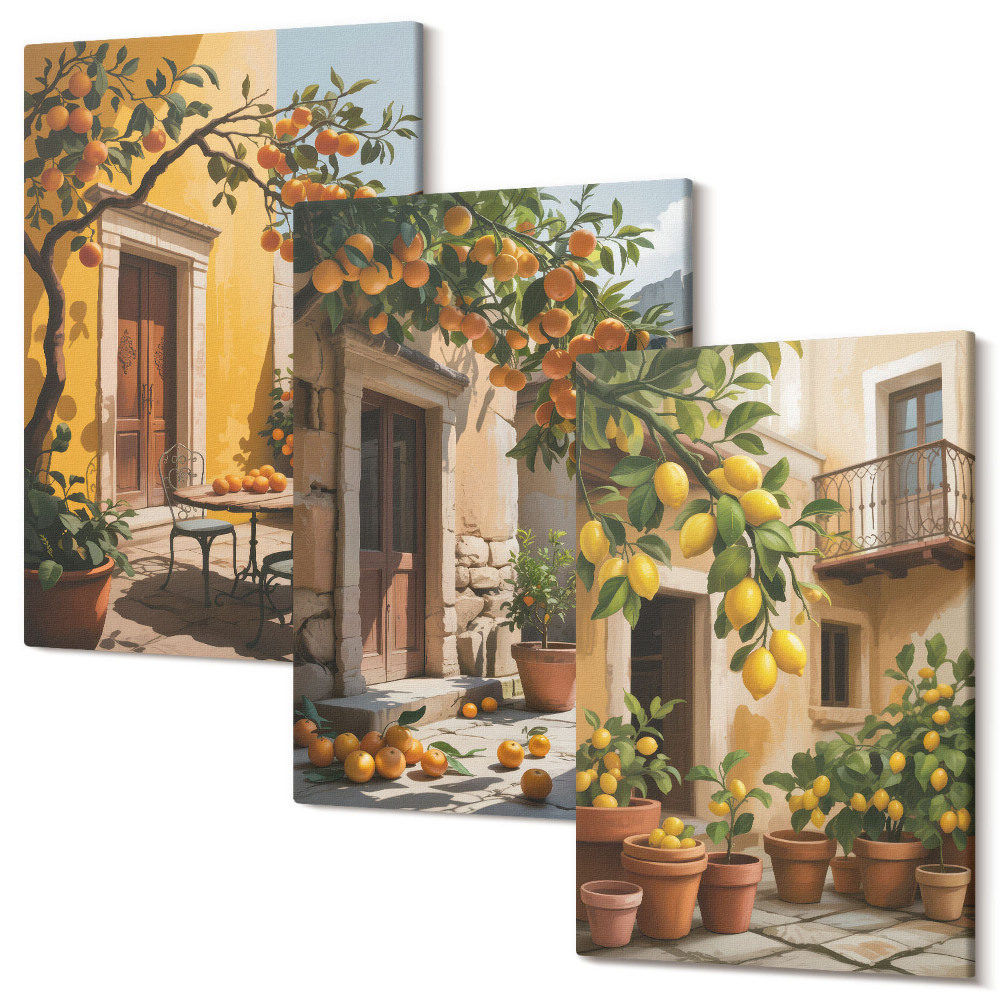 Sada obrazů na zeď triptych Citrusové plody na slunném dvoře s rostlinami