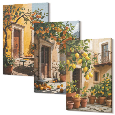 Sada obrazů na zeď triptych Citrusové plody na slunném dvoře s rostlinami