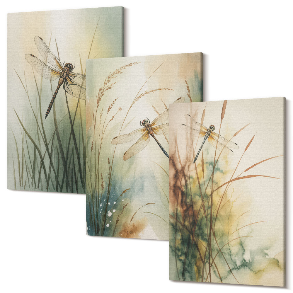 Sada 3 obrazů Malované trávy s vážkami nad vodou