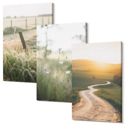 Sada obrazů na zeď triptych Krajina s loukou, silnicí a západem slunce