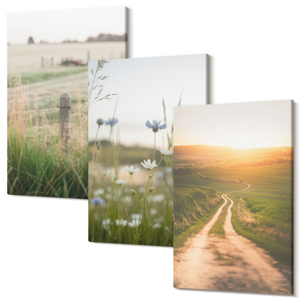 Sada 3 obrazů Přírodní krajiny s poli a cestou na slunci