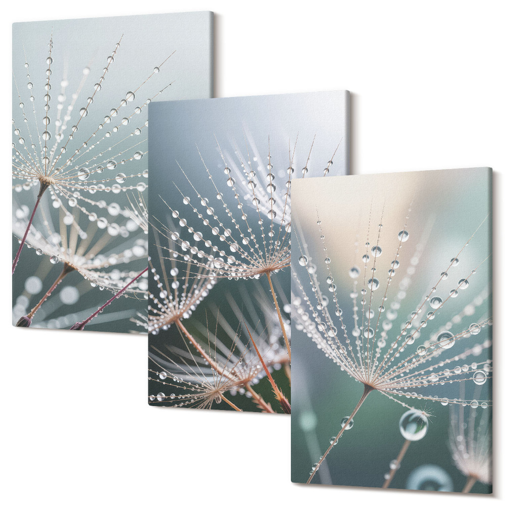Sada obrazů na zeď triptych Kapky vody na jemných výhoncích pampelišek