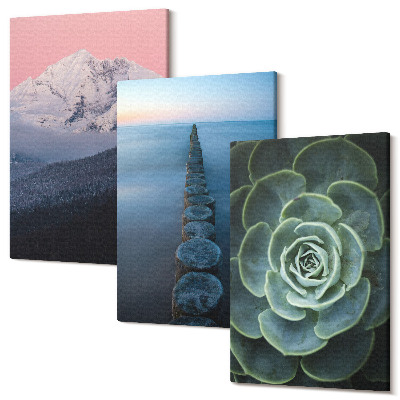Sada 3 obrazů Hory s růžovou oblohou, vodou a zelenou sukulentní
