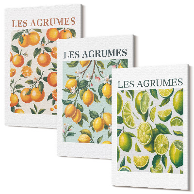Sada 3 obrazů Ovocné citrusové vzory v pastelových barvách