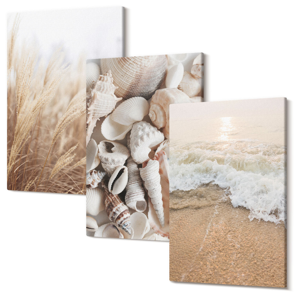 Sada obrazů na zeď triptych Plážové motivy s mušlemi a mořskými vlnami