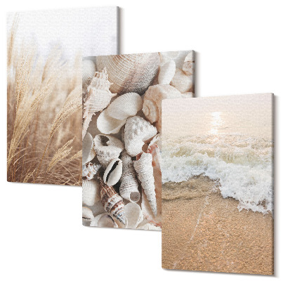Sada obrazů na zeď triptych Plážové motivy s mušlemi a mořskými vlnami
