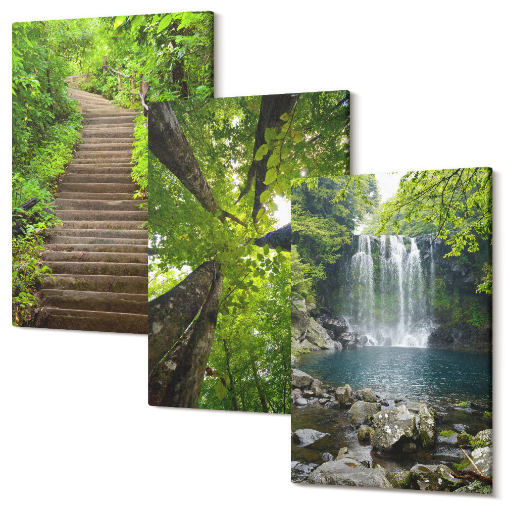 Sada obrazů triptych Lesní cesta s vodopádem a zelenou vegetací