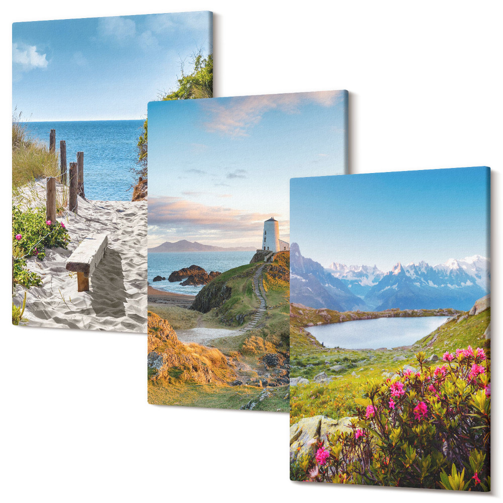 Sada obrazů na zeď triptych Pohled na pláž majáku, hory a květiny